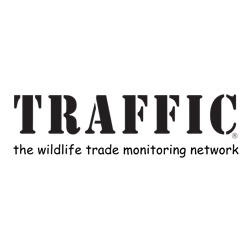 Traffic Logo